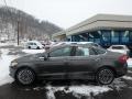 Magnetic - Fusion Hybrid SE Photo No. 6