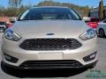 White Gold - Focus SEL Sedan Photo No. 8