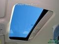 White Gold - Focus SEL Sedan Photo No. 23