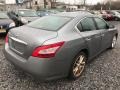 2009 Dark Slate Metallic Nissan Maxima 3.5 S  photo #6