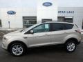 White Gold - Escape SE 4WD Photo No. 1
