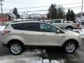 White Gold - Escape SE 4WD Photo No. 4