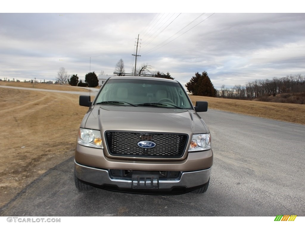 2005 F150 XLT SuperCrew - Arizona Beige Metallic / Tan photo #6