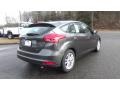 Magnetic - Focus SE Hatch Photo No. 7