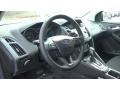 Magnetic - Focus SE Hatch Photo No. 11