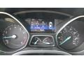 Magnetic - Focus SE Hatch Photo No. 14