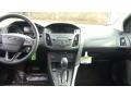Magnetic - Focus SE Hatch Photo No. 19