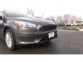 Magnetic - Focus SE Hatch Photo No. 27