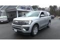 2018 Ingot Silver Ford Expedition XLT 4x4  photo #3