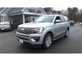 Ingot Silver - Expedition XLT 4x4 Photo No. 3