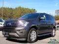 Magnetic 2018 Ford Expedition XLT