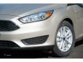 White Gold - Focus SE Hatch Photo No. 2