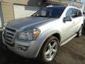 2009 Iridium Silver Metallic Mercedes-Benz GL 550 4Matic  photo #3