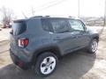 2017 Anvil Jeep Renegade Limited 4x4  photo #5