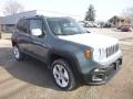 2017 Anvil Jeep Renegade Limited 4x4  photo #7