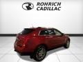 2013 Crystal Red Tintcoat Cadillac SRX Performance AWD  photo #5