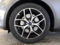 Magnetic - Focus SEL Sedan Photo No. 5