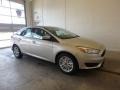 White Gold - Focus SE Sedan Photo No. 1