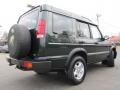 2001 Epsom Green Land Rover Discovery II SE  photo #10