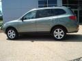 2007 Natural Khaki Green Hyundai Santa Fe Limited  photo #3