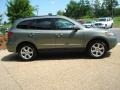 2007 Natural Khaki Green Hyundai Santa Fe Limited  photo #6