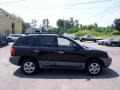 2004 Black Obsidian Hyundai Santa Fe GLS 4WD  photo #11