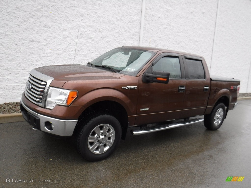 2011 F150 XLT SuperCrew 4x4 - Golden Bronze Metallic / Pale Adobe photo #2