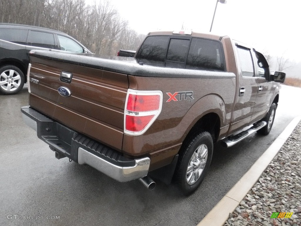 2011 F150 XLT SuperCrew 4x4 - Golden Bronze Metallic / Pale Adobe photo #13