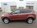 2018 Cinnamon Glaze Ford Escape SE 4WD  photo #9