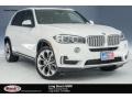 Alpine White - X5 sDrive35i Photo No. 1