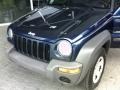 Patriot Blue Pearl - Liberty Sport Photo No. 26