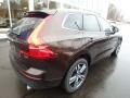 Maple Brown Metallic - XC60 T6 AWD Momentum Photo No. 2