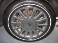 Silver Birch Metallic - Town Car Executive Photo No. 11