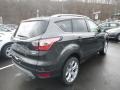 2018 Magnetic Ford Escape Titanium 4WD  photo #2