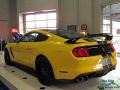 2017 Triple Yellow Ford Mustang Shelby GT350R  photo #4