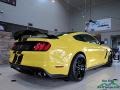 2017 Triple Yellow Ford Mustang Shelby GT350R  photo #6