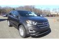 Magnetic 2018 Ford Edge SEL