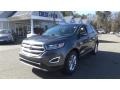 2018 Magnetic Ford Edge SEL  photo #3
