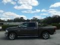 Walnut Brown Metallic - 1500 Big Horn Crew Cab Photo No. 2