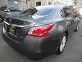 Brilliant Silver - Altima 2.5 SL Photo No. 7