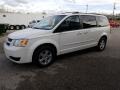 Stone White - Grand Caravan SE Photo No. 8