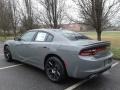 2018 Destroyer Gray Dodge Charger R/T  photo #8