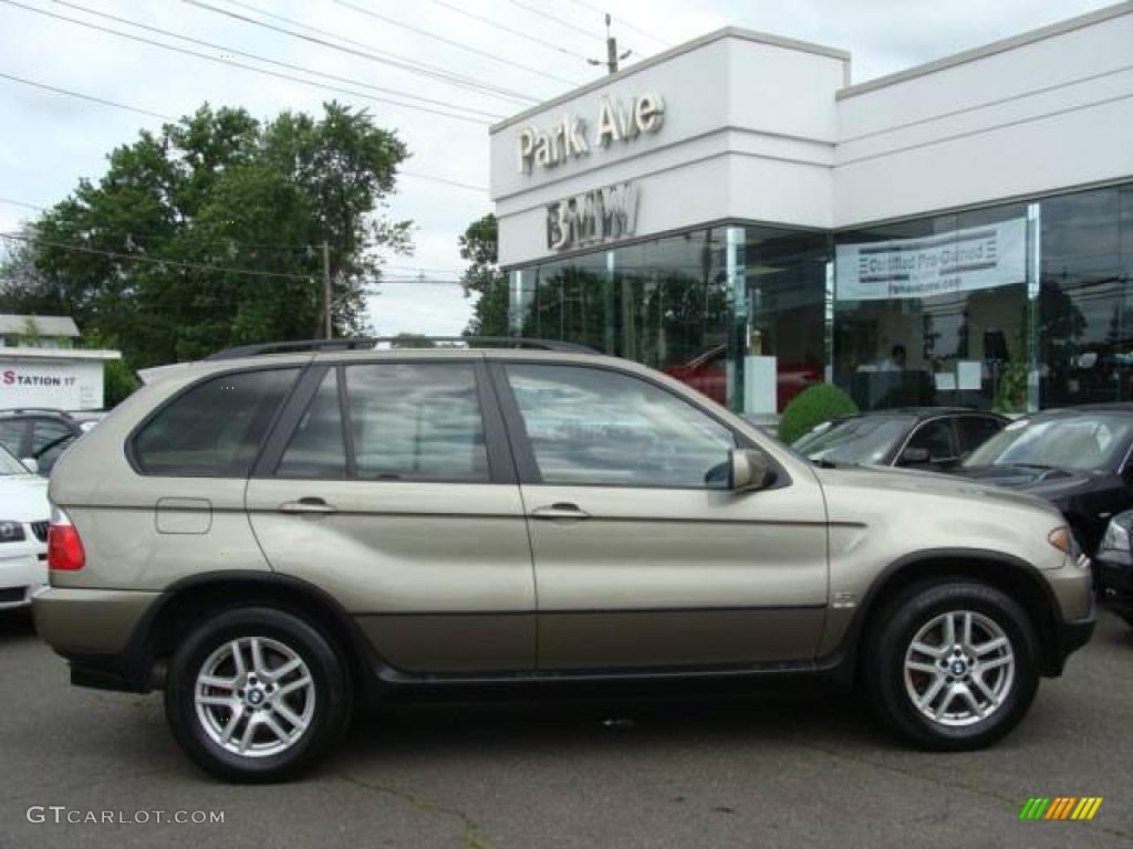 Olivin Green Metallic BMW X5