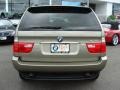 2006 Olivin Green Metallic BMW X5 3.0i  photo #7