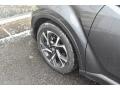 Magnetic Gray Metallic - C-HR XLE Photo No. 32