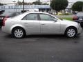 Light Platinum - CTS Sedan Photo No. 3