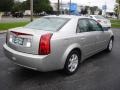 Light Platinum - CTS Sedan Photo No. 4