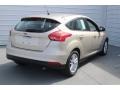 White Gold - Focus SE Hatch Photo No. 8