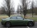 2018 F8 Green Dodge Charger R/T  photo #5