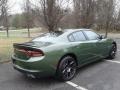 2018 F8 Green Dodge Charger R/T  photo #8